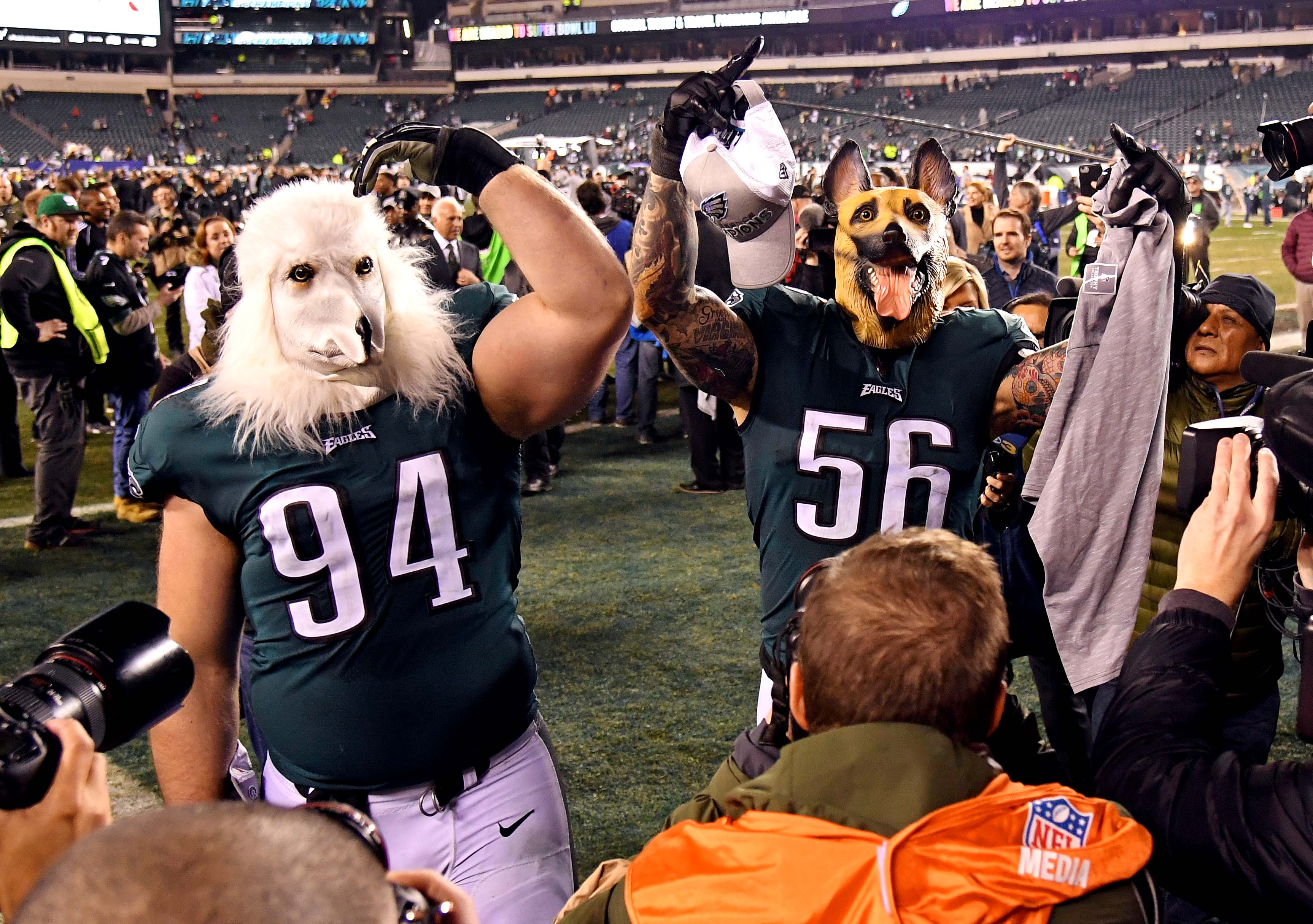 philadelphia eagles dog